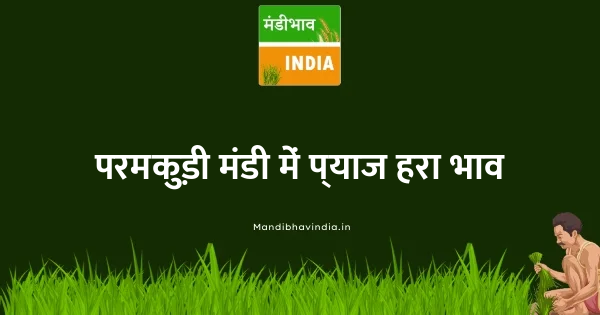 Onion Green भाव